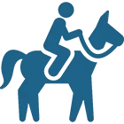 Basic horseback riding lessons